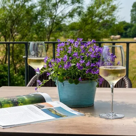 Aedenlife & Ruegen Hotel Trent